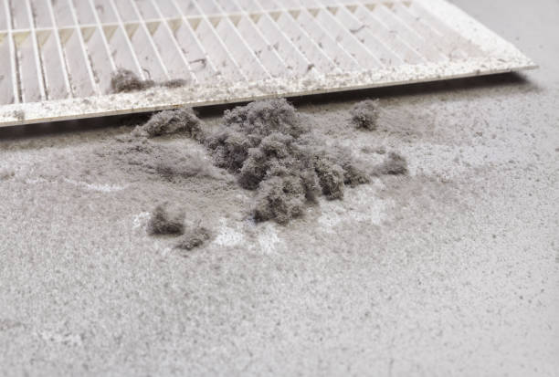 Best Air Vent Cleaning Services  in Dadeville, AL